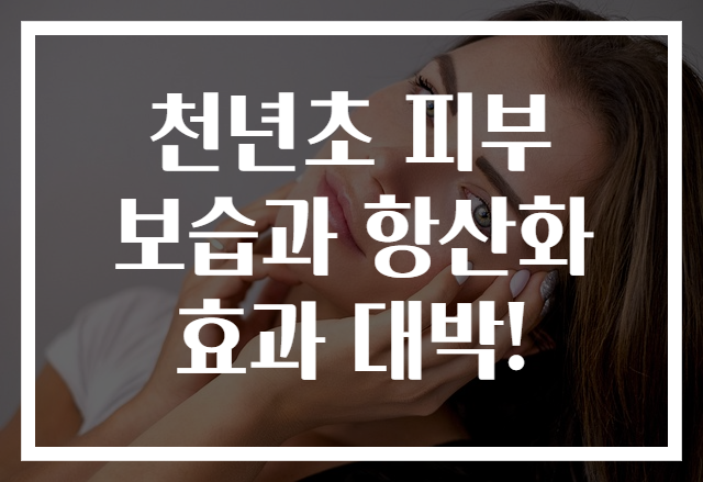 천년초 피부 보습과 항산화 효과 대박!