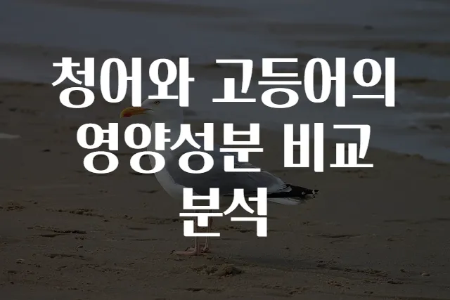 청어와 고등어의 영양성분 비교분석