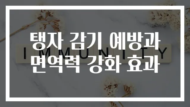 탱자 감기 예방과 면역력 강화 효과
