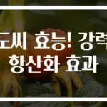 포도씨 효능! 강력한 항산화 효과