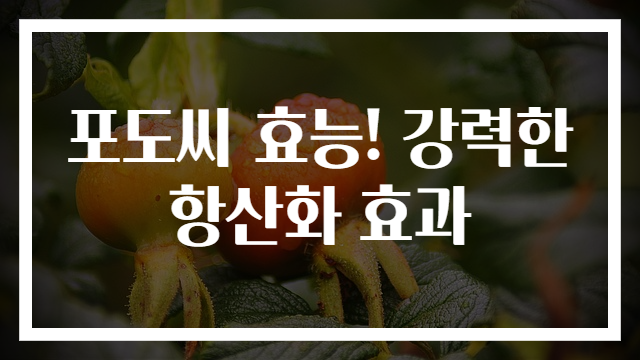 포도씨 효능! 강력한 항산화 효과