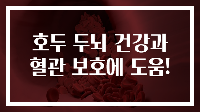 호두 두뇌 건강과 혈관 보호에 도움!