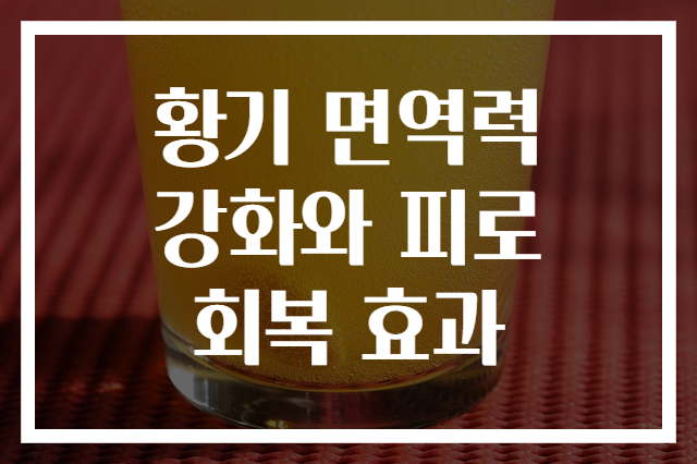 황기 면역력 강화와 피로 회복 효과