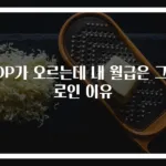 GDP가 오르는데 내 월급은 그대로인 이유