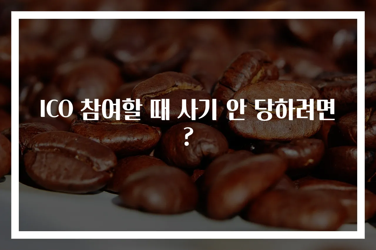 ICO 참여할 때 사기 안 당하려면?