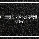 NFT 트렌드 2025년 주목할 분야는?