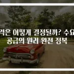 가격은 어떻게 결정될까? 수요와 공급의 원리 완전 정복