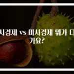 거시경제 vs 미시경제 뭐가 다른가요?