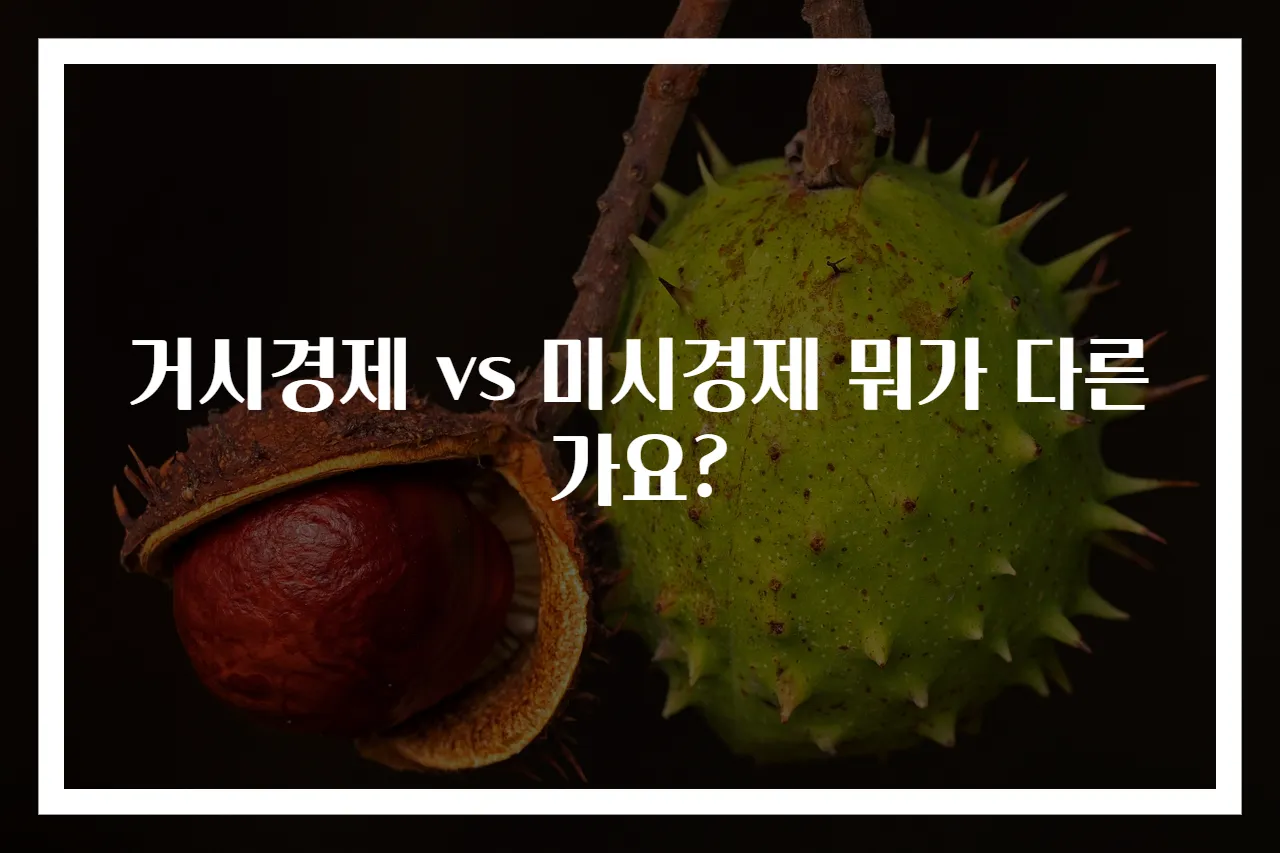 거시경제 vs 미시경제 뭐가 다른가요?
