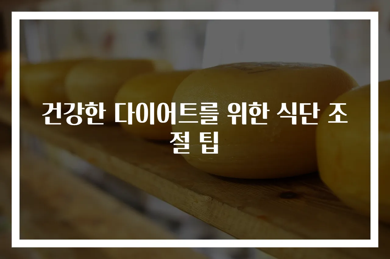 건강한 다이어트를 위한 식단 조절 팁