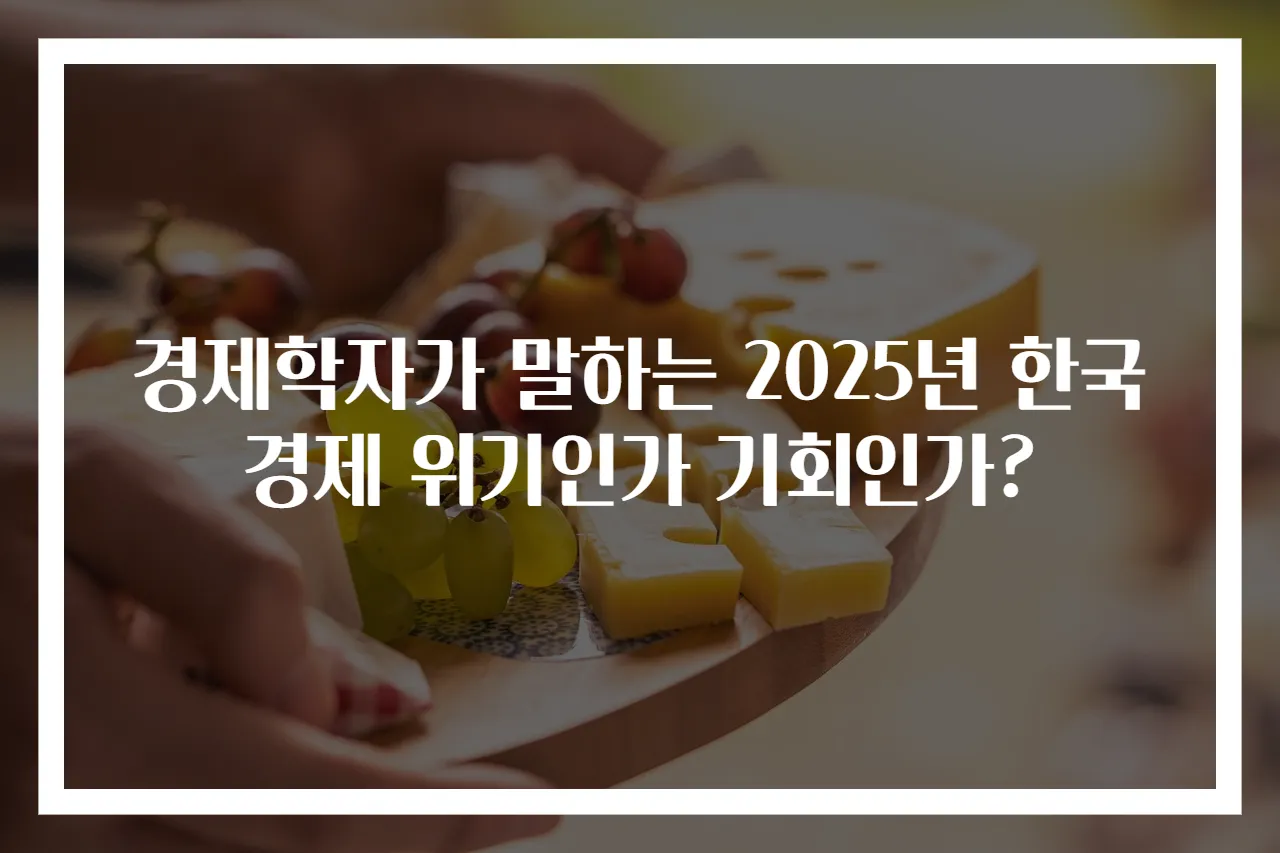 경제학자가 말하는 2025년 한국경제 위기인가 기회인가?