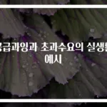 공급과잉과 초과수요의 실생활 예시