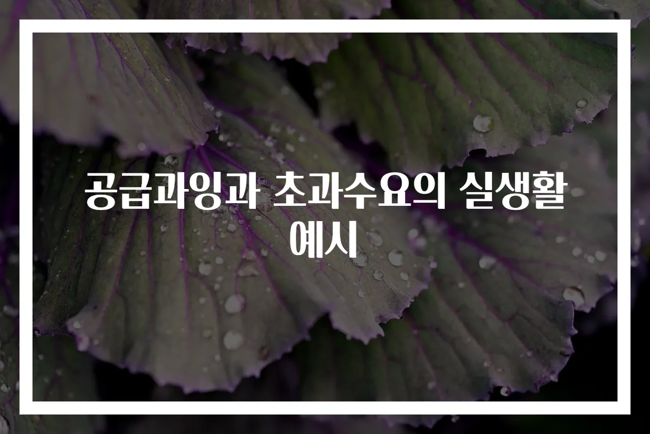공급과잉과 초과수요의 실생활 예시