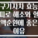 구기자차 효능 피로 해소와 혈액순환에 좋은 이유