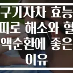 구기자차 효능 피로 해소와 혈액순환에 좋은 이유