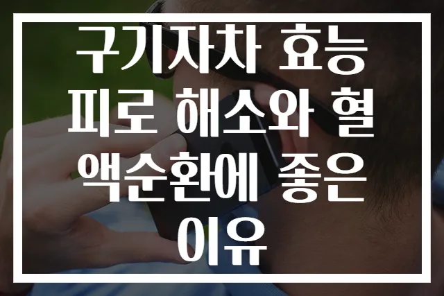 구기자차 효능 피로 해소와 혈액순환에 좋은 이유