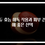 녹두 효능 해독 작용과 피부 건강에 좋은 선택