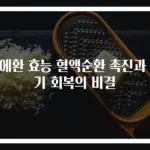 누에환 효능 혈액순환 촉진과 원기 회복의 비결