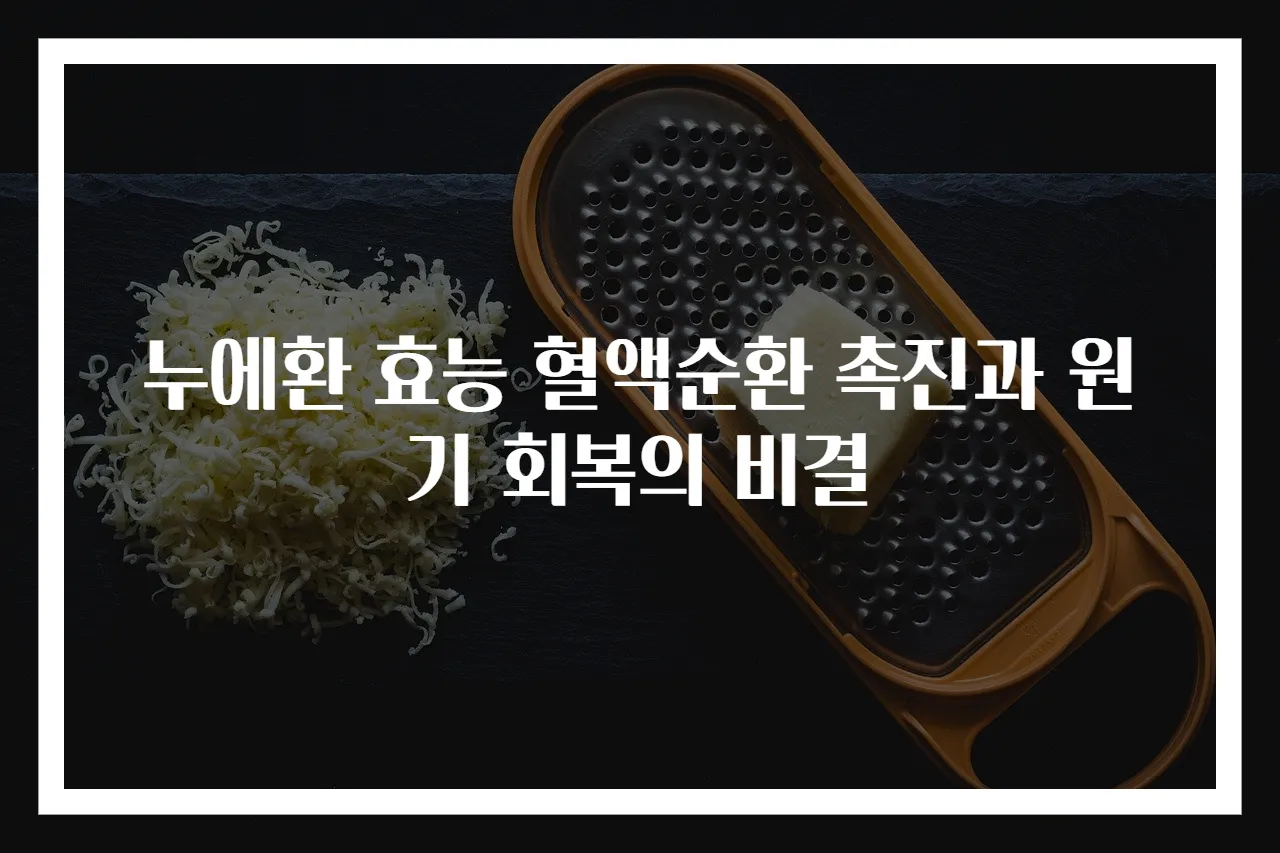 누에환 효능 혈액순환 촉진과 원기 회복의 비결