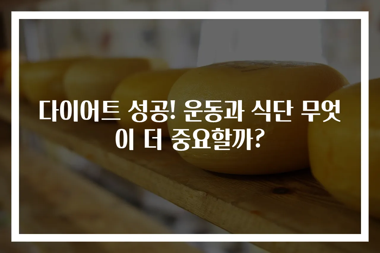 다이어트 성공! 운동과 식단 무엇이 더 중요할까?