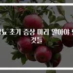 당뇨 초기 증상 미리 알아야 할 것들