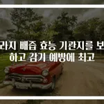 도라지 배즙 효능 기관지를 보호하고 감기 예방에 최고