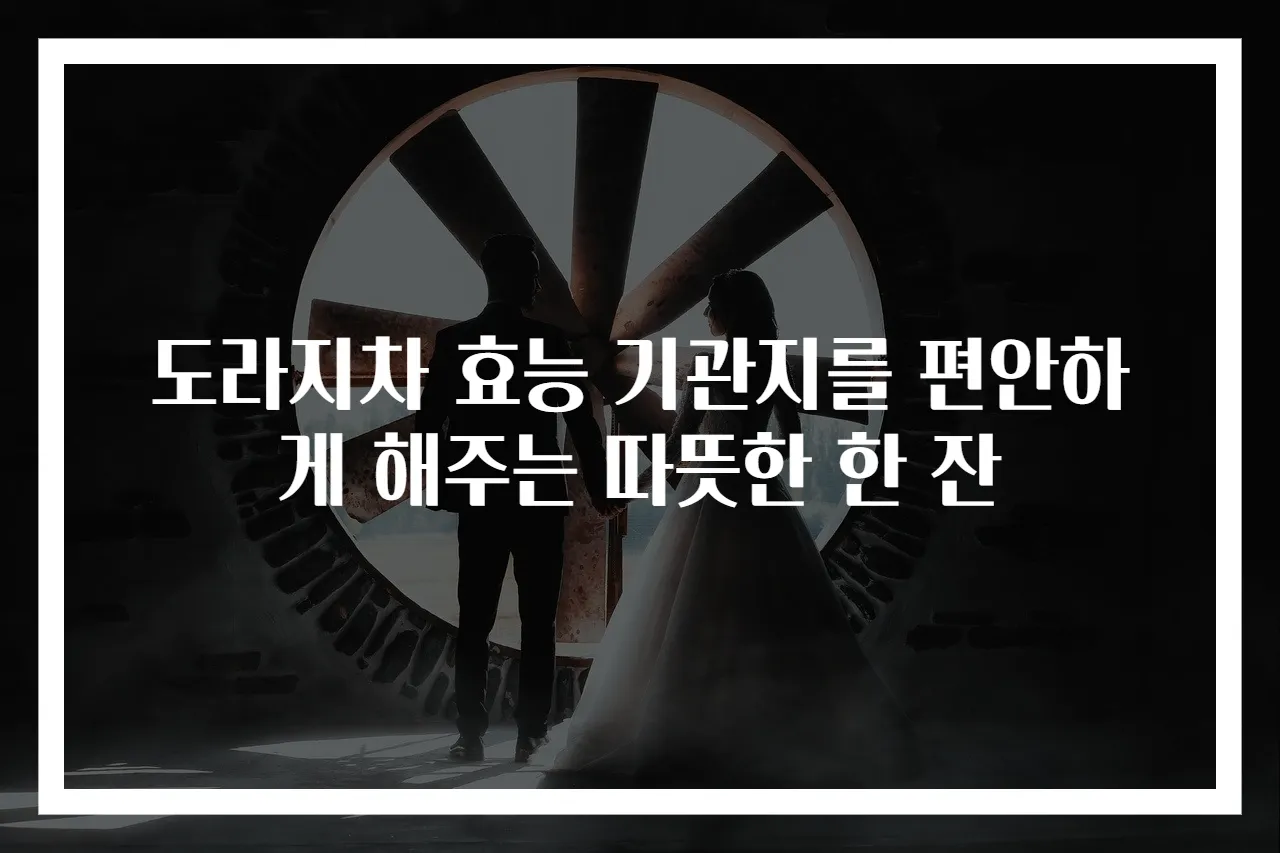 도라지차 효능 기관지를 편안하게 해주는 따뜻한 한 잔