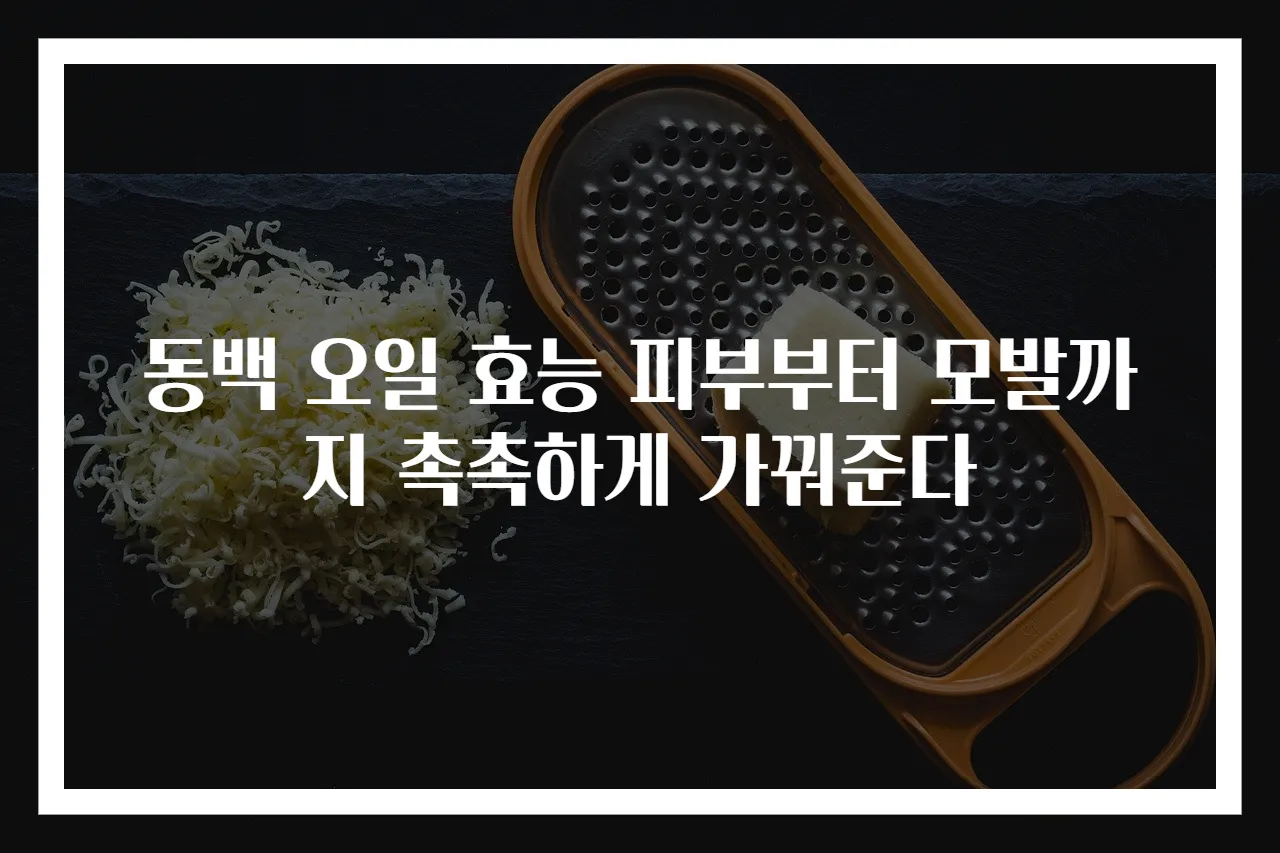 동백 오일 효능 피부부터 모발까지 촉촉하게 가꿔준다