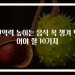 면역력 높이는 음식 꼭 챙겨 먹어야 할 10가지