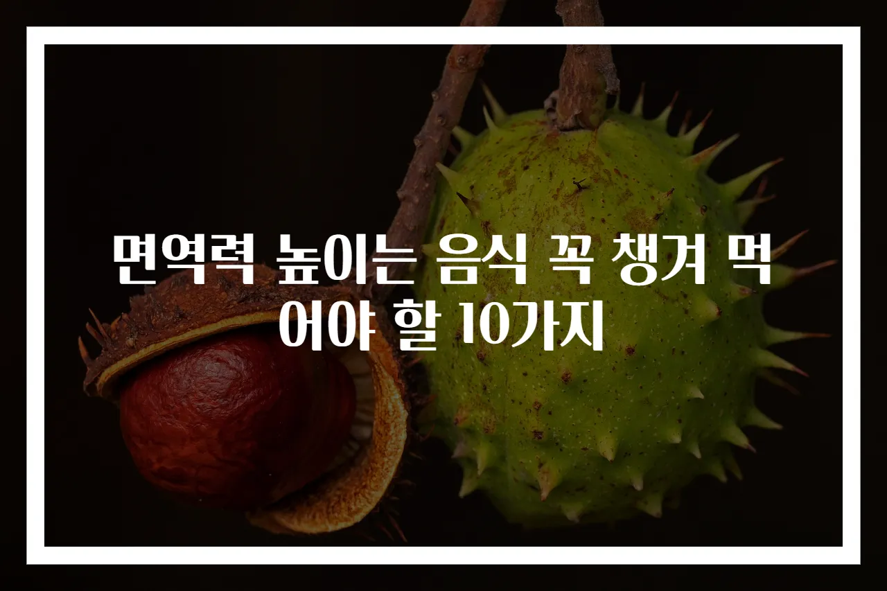 면역력 높이는 음식 꼭 챙겨 먹어야 할 10가지