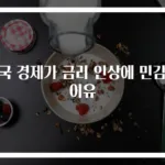미국 경제가 금리 인상에 민감한 이유
