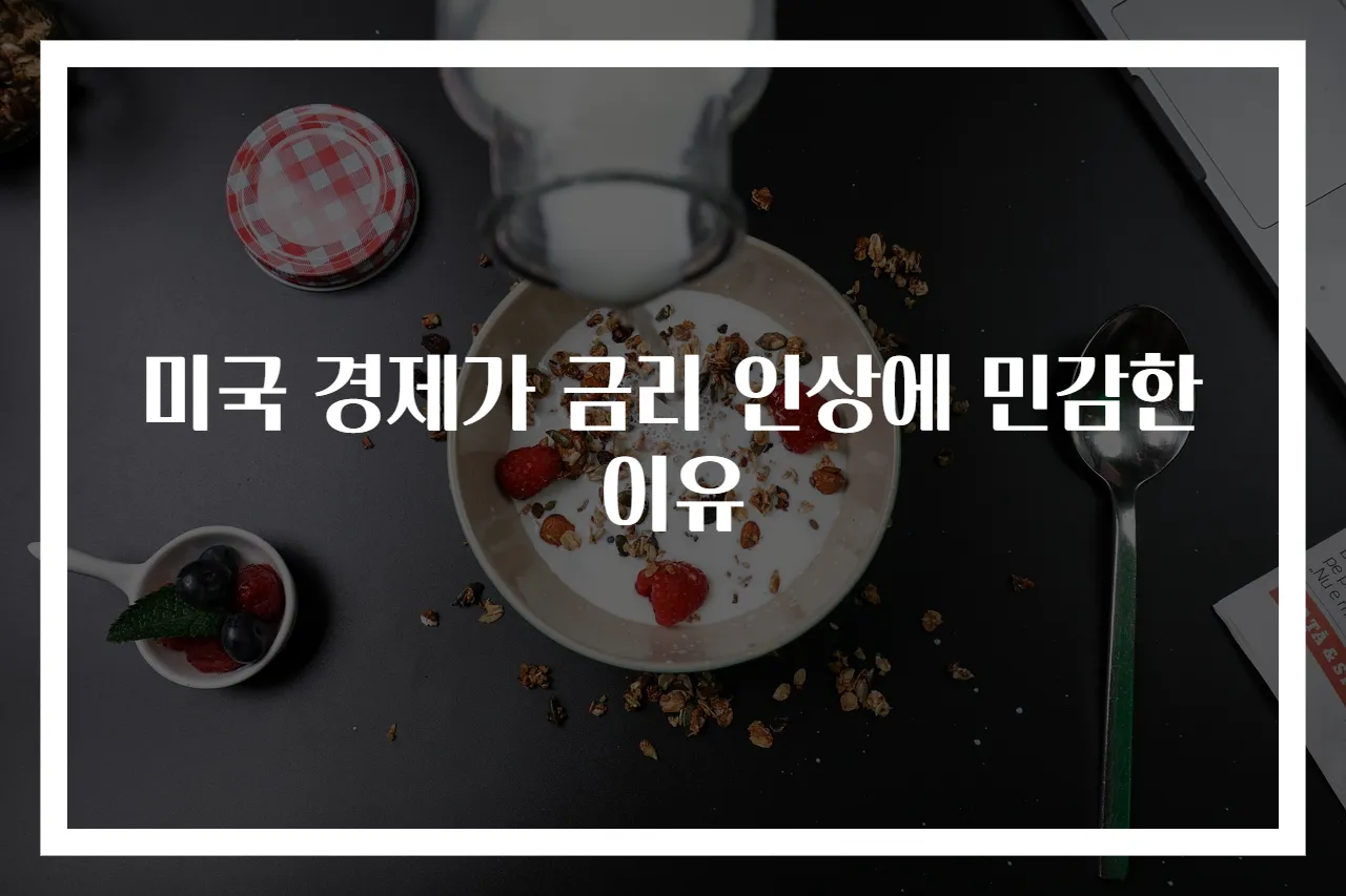 미국 경제가 금리 인상에 민감한 이유