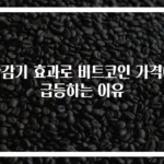 반감기 효과로 비트코인 가격이 급등하는 이유