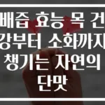 배즙 효능 목 건강부터 소화까지 챙기는 자연의 단맛