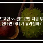 비트코인 vs 알트코인 지금 투자한다면 어디가 유리할까?