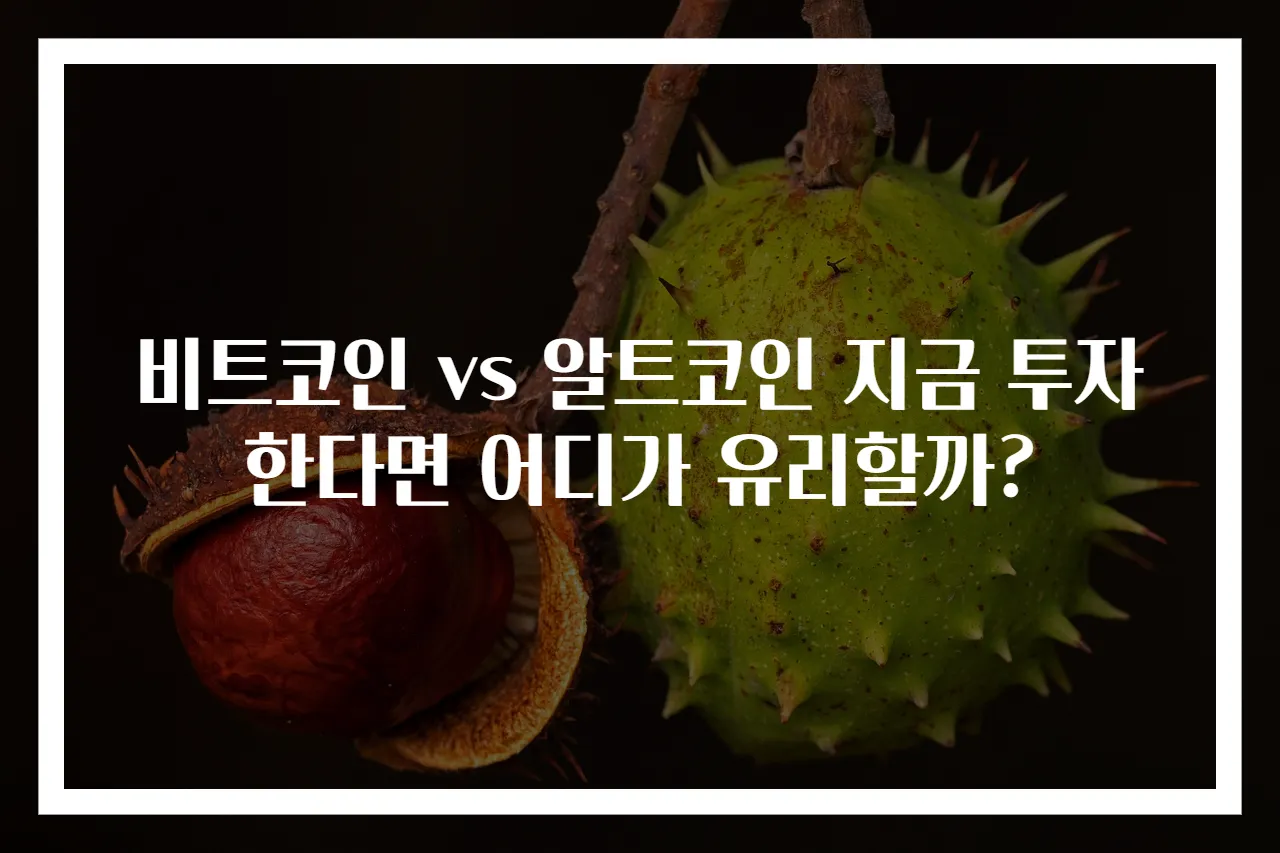 비트코인 vs 알트코인 지금 투자한다면 어디가 유리할까?