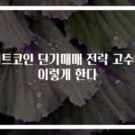 비트코인 단기매매 전략 고수는 이렇게 한다