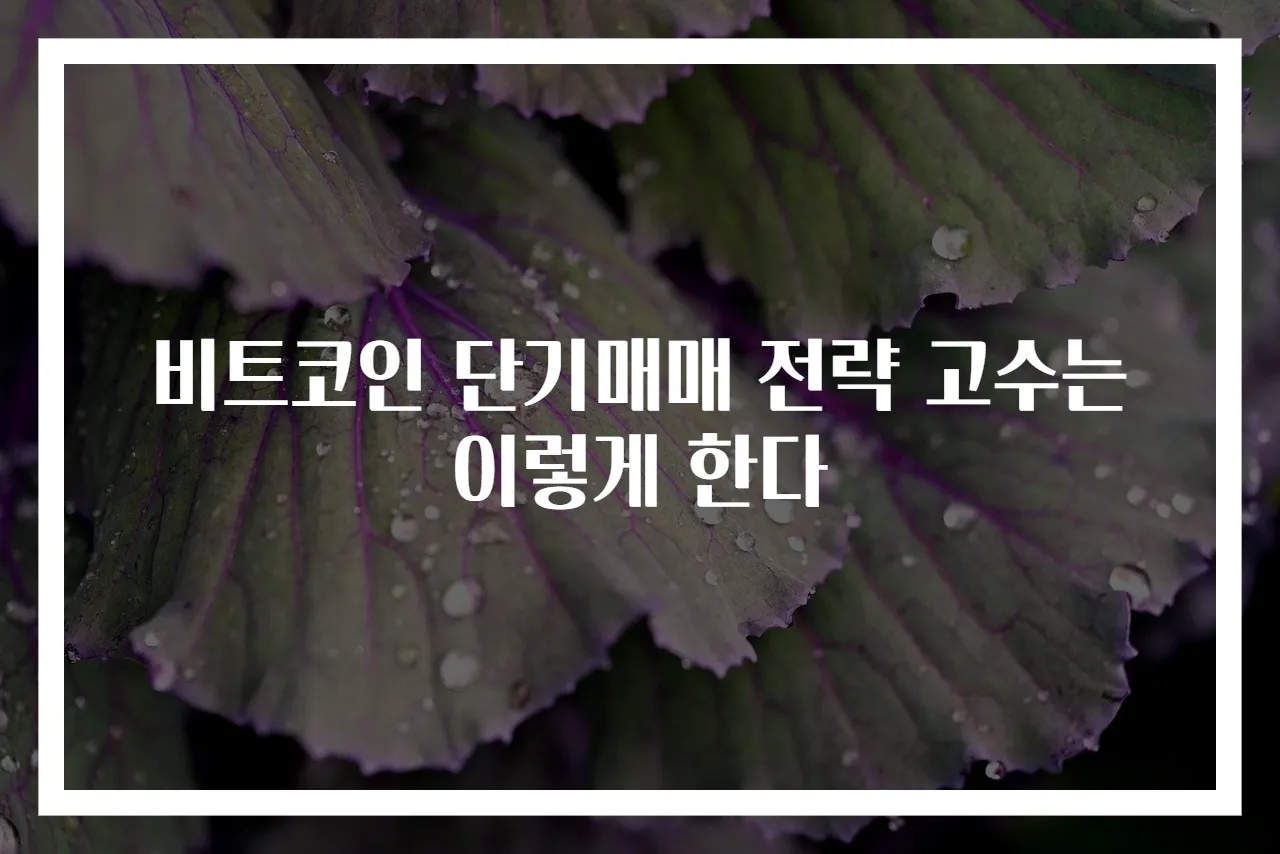 비트코인 단기매매 전략 고수는 이렇게 한다