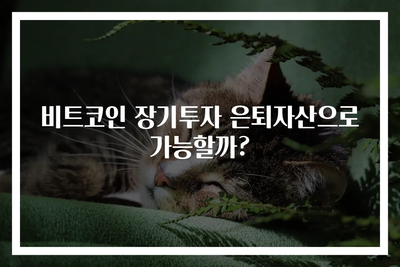 비트코인 장기투자 은퇴자산으로 가능할까?