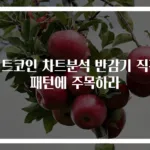 비트코인 차트분석 반감기 직전 패턴에 주목하라