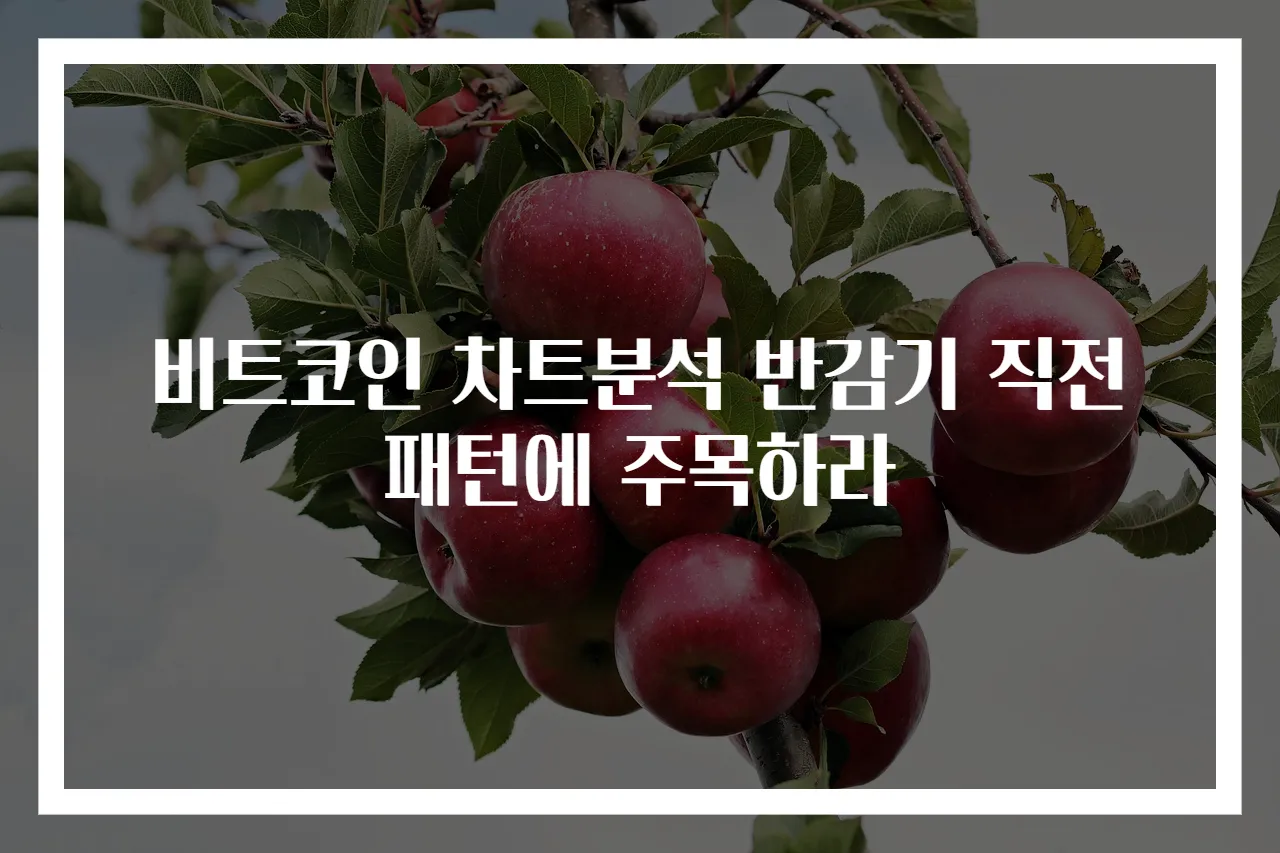 비트코인 차트분석 반감기 직전 패턴에 주목하라