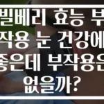 빌베리 효능 부작용 눈 건강에 좋은데 부작용은 없을까?