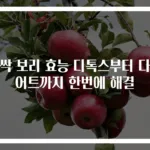 새싹 보리 효능 디톡스부터 다이어트까지 한번에 해결
