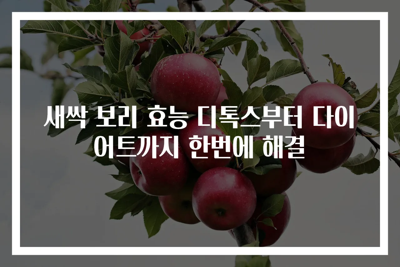 새싹 보리 효능 디톡스부터 다이어트까지 한번에 해결