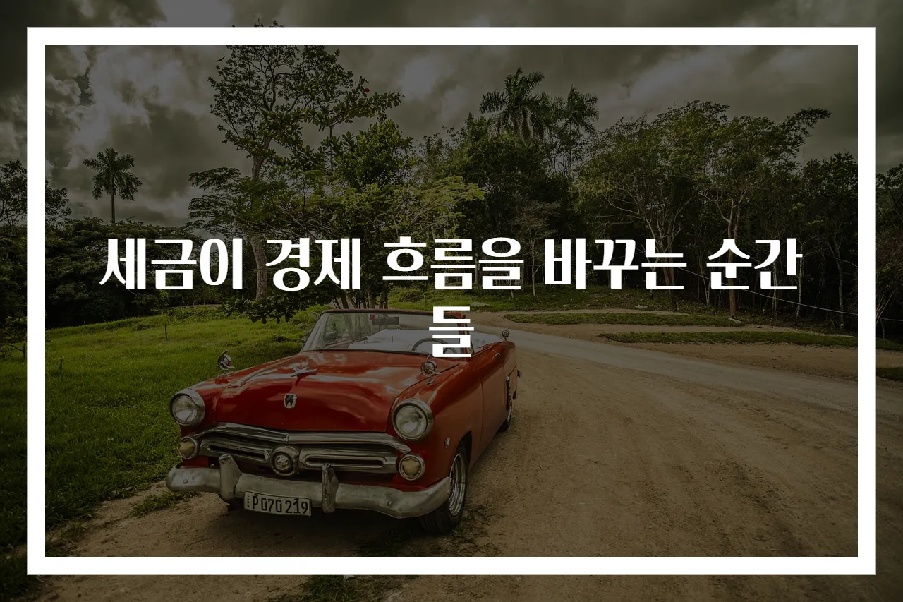 세금이 경제 흐름을 바꾸는 순간들