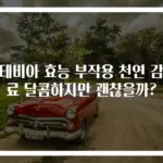 스테비아 효능 부작용 천연 감미료 달콤하지만 괜찮을까?