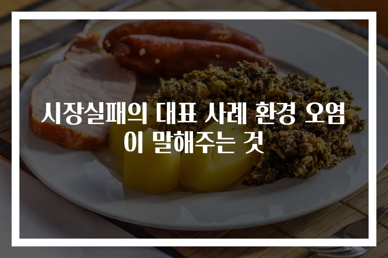 시장실패의 대표 사례 환경 오염이 말해주는 것