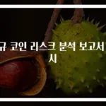 신규 코인 리스크 분석 보고서 예시