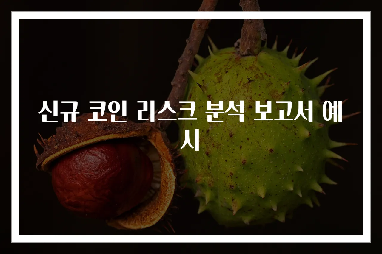 신규 코인 리스크 분석 보고서 예시