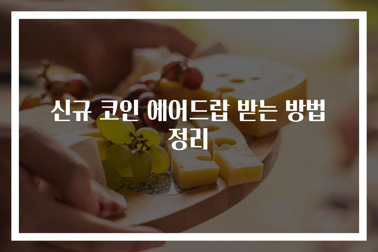 신규 코인 에어드랍 받는 방법 정리